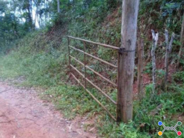 Fazenda - várzea santo antônio, bias fortes/mg