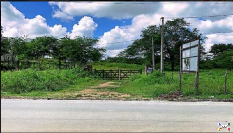 Lote 6139