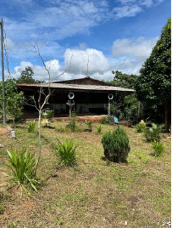 Lote 001