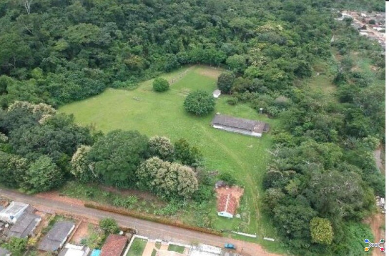 Lote 001