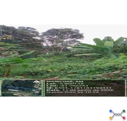 Terreno em Leilão em Manicoré / AM - 3043209