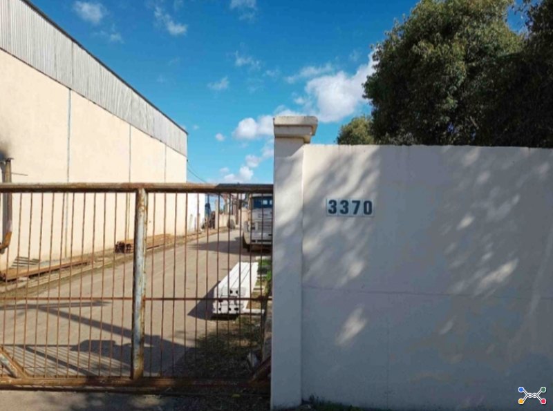 Lote 006