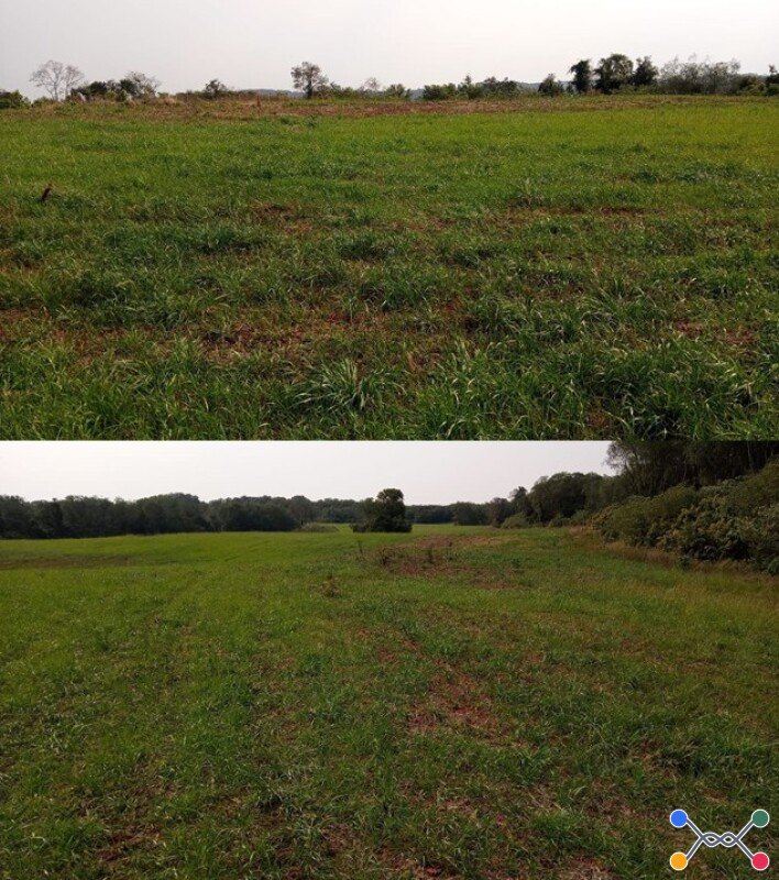 Partes dos lotes rurais nºs “123 e 124” com a área de 84.778,00 m² e parte do lote rural nº 125 com área de 25.000,00 m², do núcleo sarandi, lugar denominado linha gramado, município de rondinha-rs, com área total de 109.778,00 m²