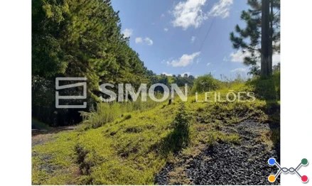 Lote 001 - imóvel rural