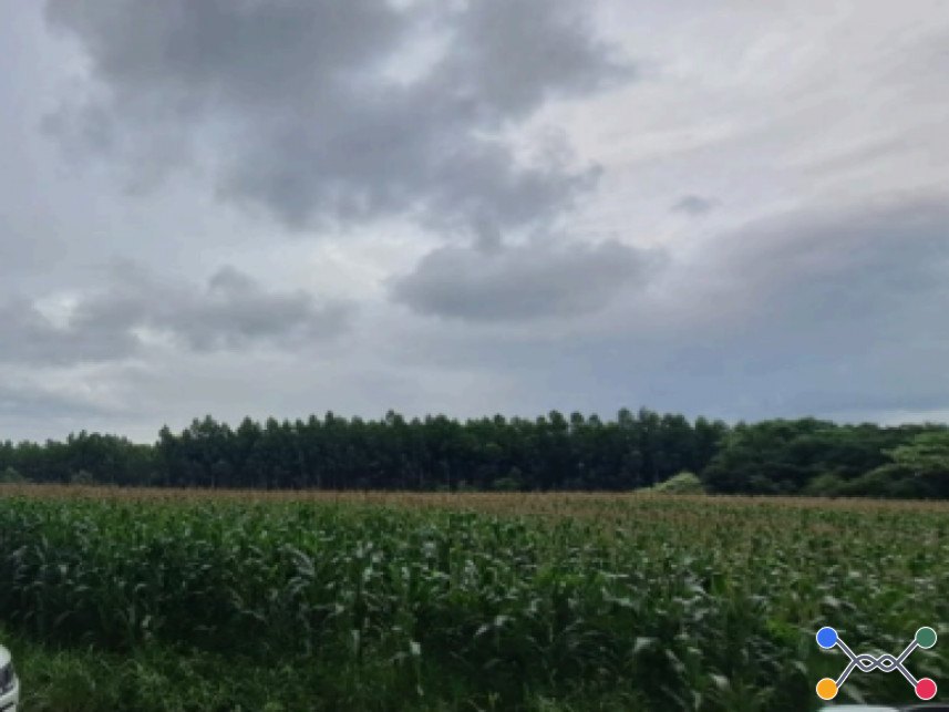 Terreno à venda em leilão