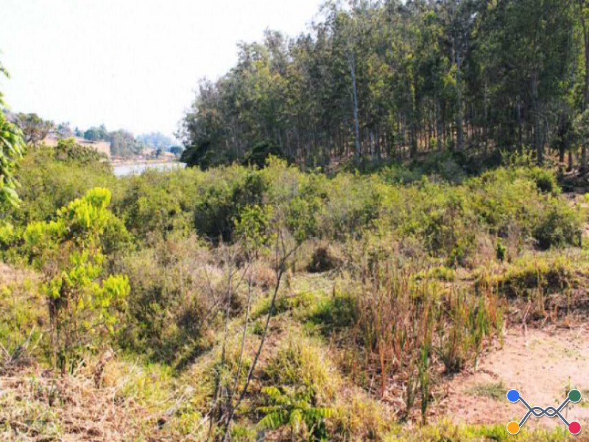 Fazenda à venda em leilão