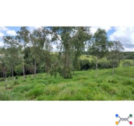 Fazenda em Leilão em Três Corações / MG - 2949139