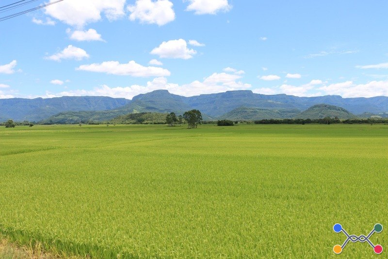 Imóvel rural em lagamar/mg com 98,62,38 hectares