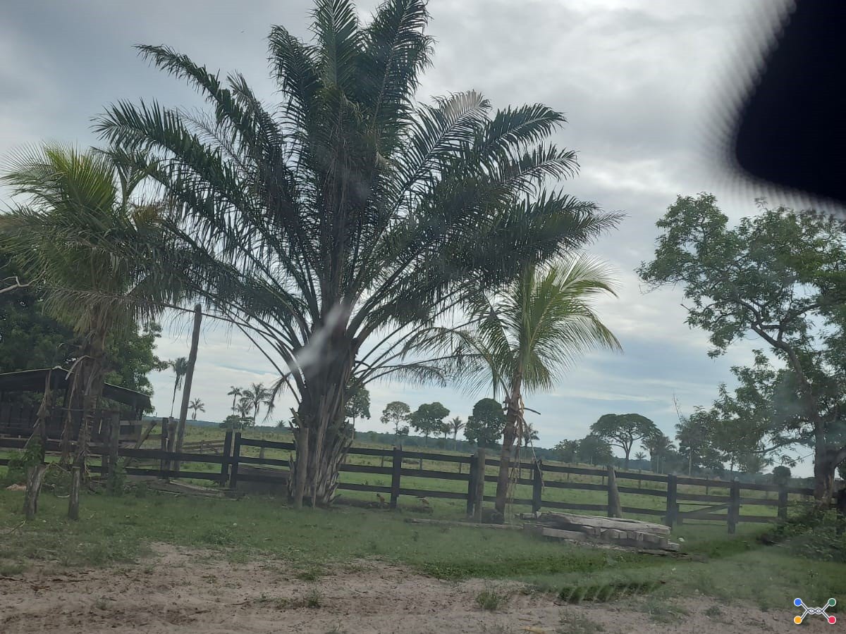 Imóvel rural — aproximadamente 72 ha — Nova Mamoré/RO