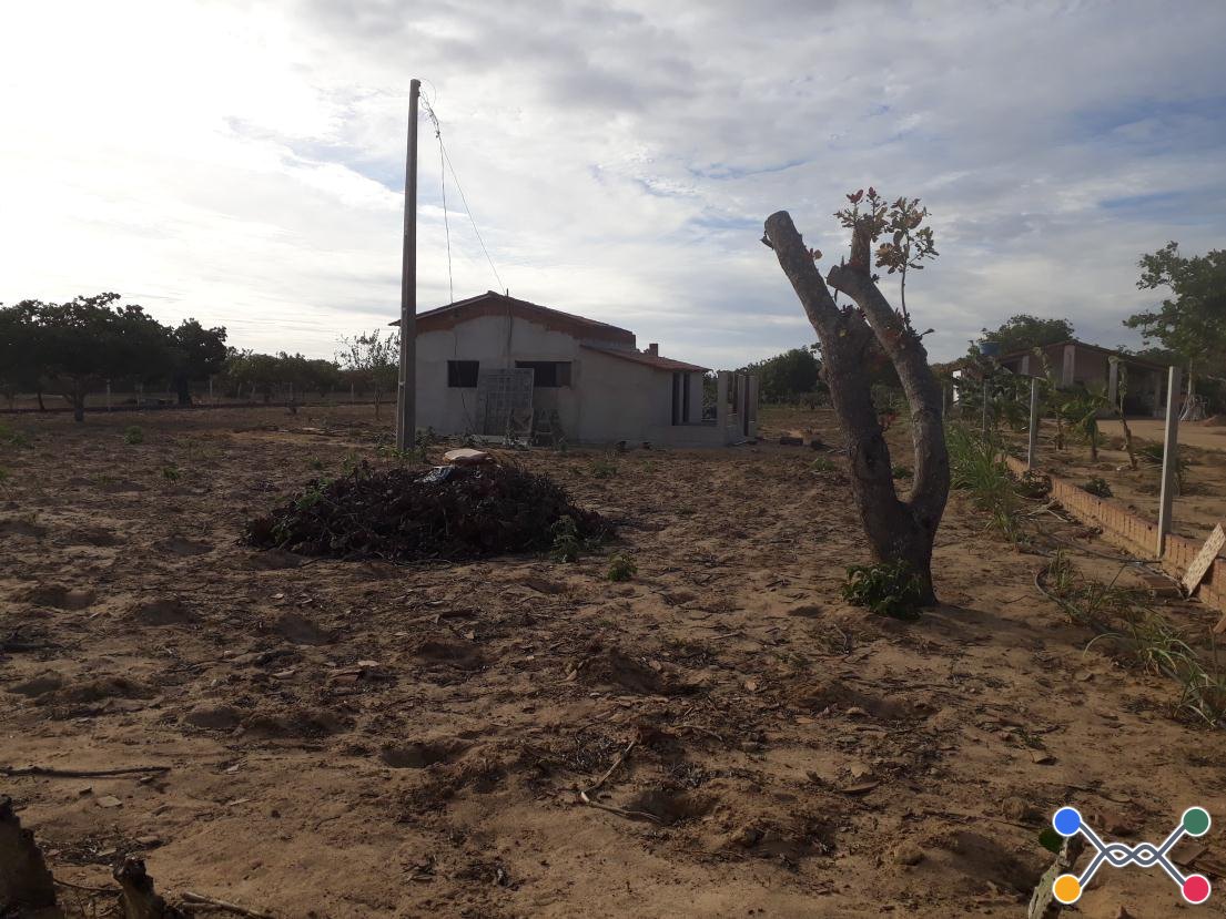 Area Rural em leilão em Nova Floresta - PB