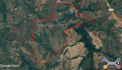 Area Rural em leilão em Novo Acordo - TO