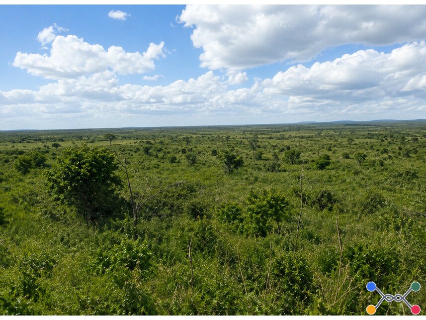 Fazenda à venda em leilão
