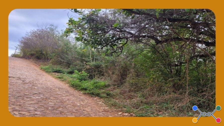 Terreno em leilão no bairro Muriti em Crato - CE