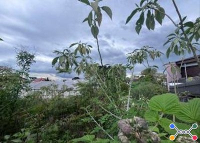 IMÓVEL URBANO COM ÁREA TOTAL DE 800,00 m2- Em CURITIBA/PR