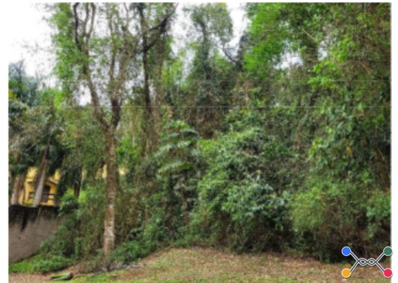 Direitos sobre Terreno de 1.408m² no Lot. Colonial Village em Cotia/SP - Lote 001 (ID 17568)