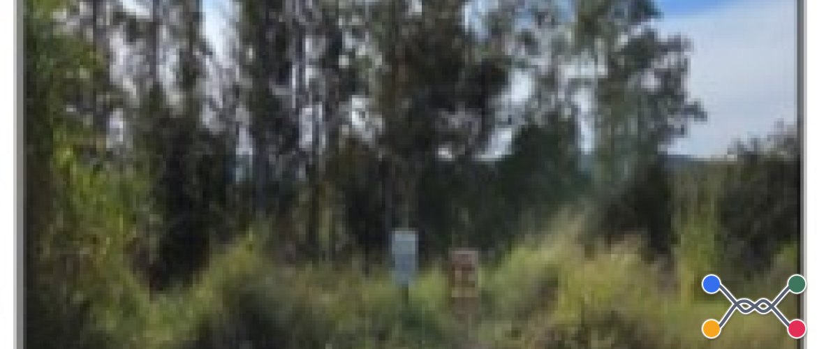 TERRENO DE LEILÃO DA CAIXA, NO BAIRRO PICADA CARÁ, NA CIDADE FELIZ, NO ESTADO RS