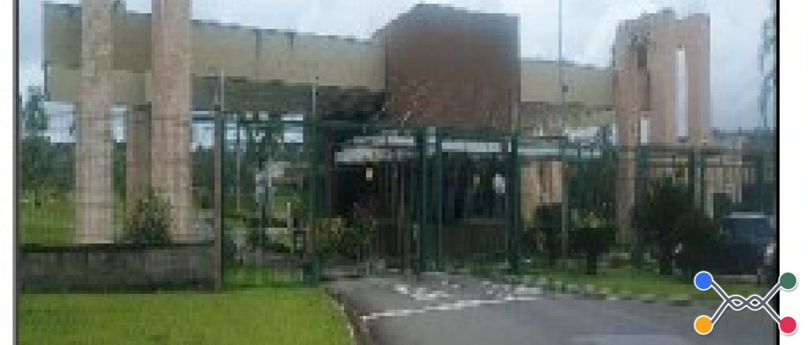 TERRENO DE LEILÃO DA CAIXA, NO BAIRRO RESIDENCIAL E COMERCIAL DAMHA, NA CIDADE CIDADE OCIDENTAL, NO ESTADO GO