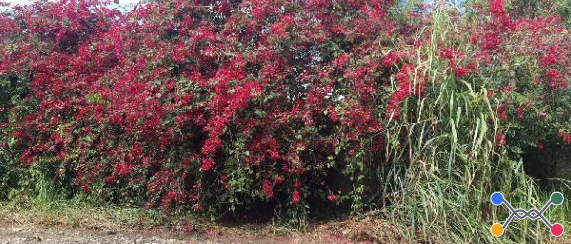 TERRENO DE LEILÃO DA CAIXA, NO BAIRRO RESIDENCIAL JACARAIPE, NA CIDADE SERRA, NO ESTADO ES