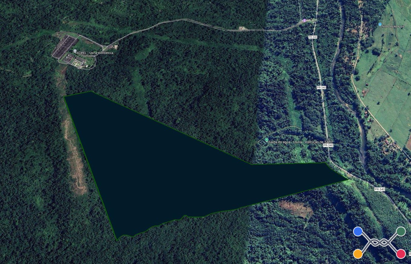44 Hectares em Antonina/PR | Distrito Cacatú | CAR Ativo e Imóvel Desocupado!