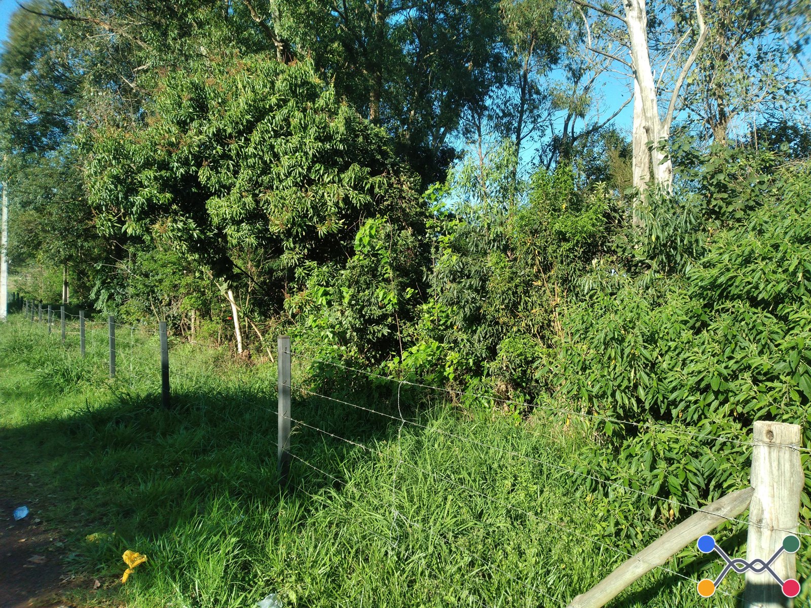 52 Lotes, 27.837m² no Bairro São Gabriel em Capitão Leônidas Marques/PR - Desocupado!