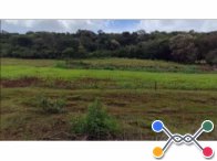 Imóvel com 2,9 hectares - Santa Izabel do Oeste/P