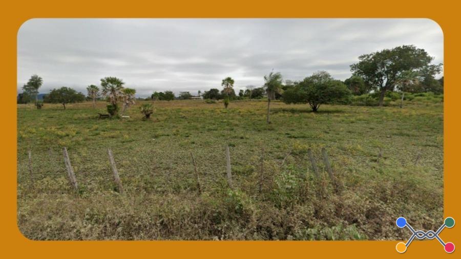 Area Rural em leilão em Januária - MG