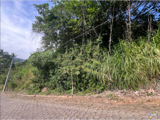 Terreno - Blumenau - SC