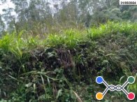 Parte ideal de Sítio c/ 9,65 hectares - Salto do Itajaí