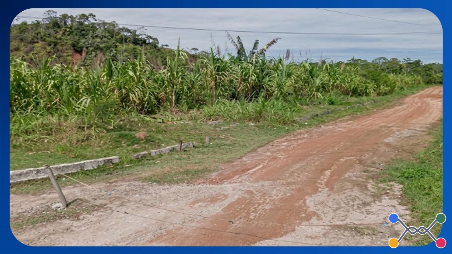 LOTE - LOTE 16, HEXÁGONO J, ALÉA DAS PALMEIRAS, ENSEADA DOS GIRASSÓIS, BRACUÍ (CUNHABEB), 2º DISTRITO, ANGRA DOS REIS/RJ, ÁREA DE 544,72M² - Luis Leiloeiro