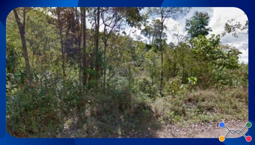 TERRENO - ÁREA DE TERRAS PRÓPRIAS NO LUGAR DENOMINADO POSSE DOS HECKERTS, SEM BENFEITORIAS, COM ÁREA TOTAL DE 681.986M², ACESSO PELA RODOVIA MURY-LUMIAR (RJ-142), KM 2,5, À DIREITA NO SENTIDO LUMIAR, MUNICÍPIO DE NOVA FRIBURGO/RJ - Luis Leiloeiro