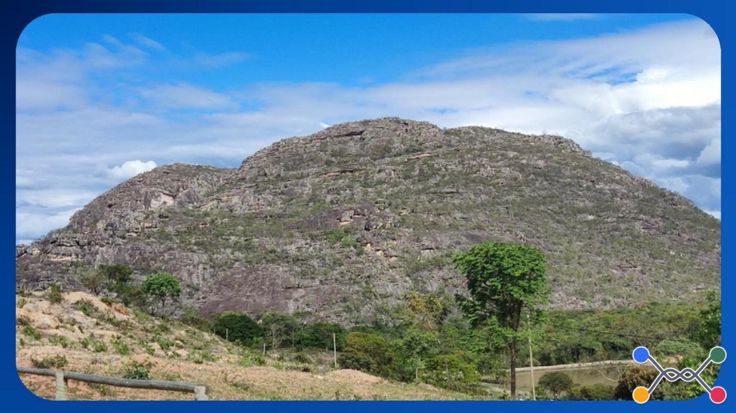 FAZENDA - FAZENDA BOCAINA, GLEBA Nº 60, ZONA RURAL DE BOTUMIRIM/MG, ÁREA DE 560.000,00M² - Luis Leiloeiro