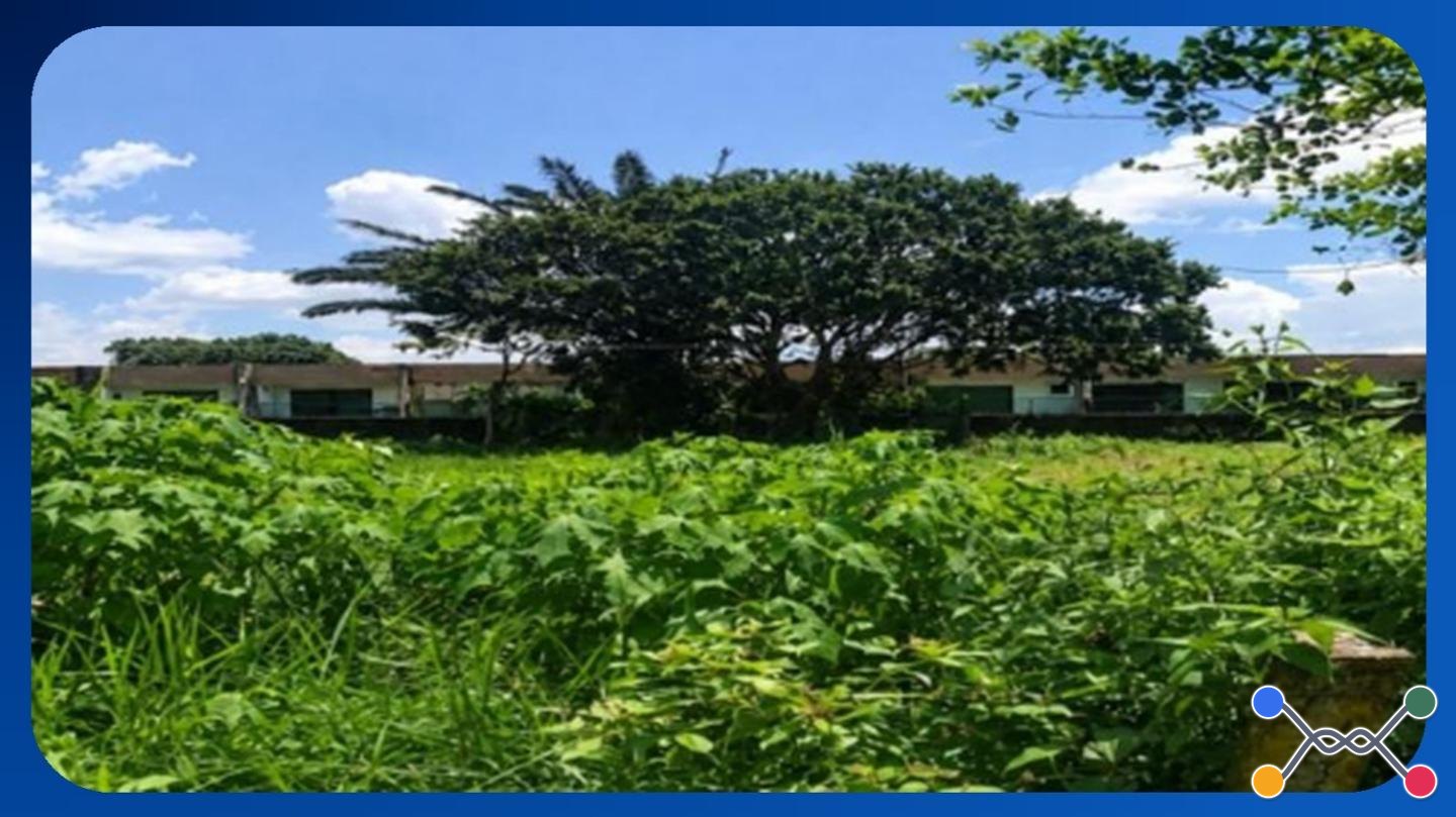 LOTE - Nº 10, QUADRA B, LOTEAMENTO RECANTO CASUARINAS, ESTRADA DE ALDEIA, KM 14, ALDEIA DOS CAMARÁS, PAUDALHO/PE, ÁREA DE 800,00M² - Luis Leiloeiro