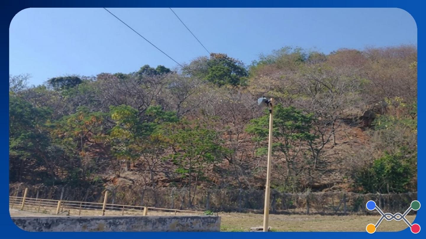 TERRENO - ÁREA 5, RUA DO FRIGORÍFICO, ALTINÓPOLIS, GOVERNADOR VALADARES/MG, ÁREA DE 20.000,00M² - Luis Leiloeiro