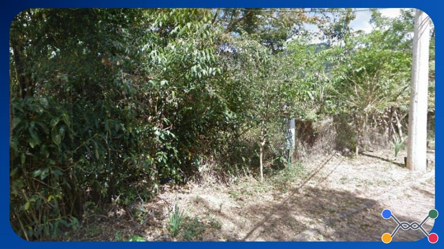 TERRENO - ALAMEDA DOS SABIÁS, LOTEAMENTO ESTÂNCIA SERRANA, NOVA LIMA/MG, ÁREA DE 7.000,00M² - Luis Leiloeiro