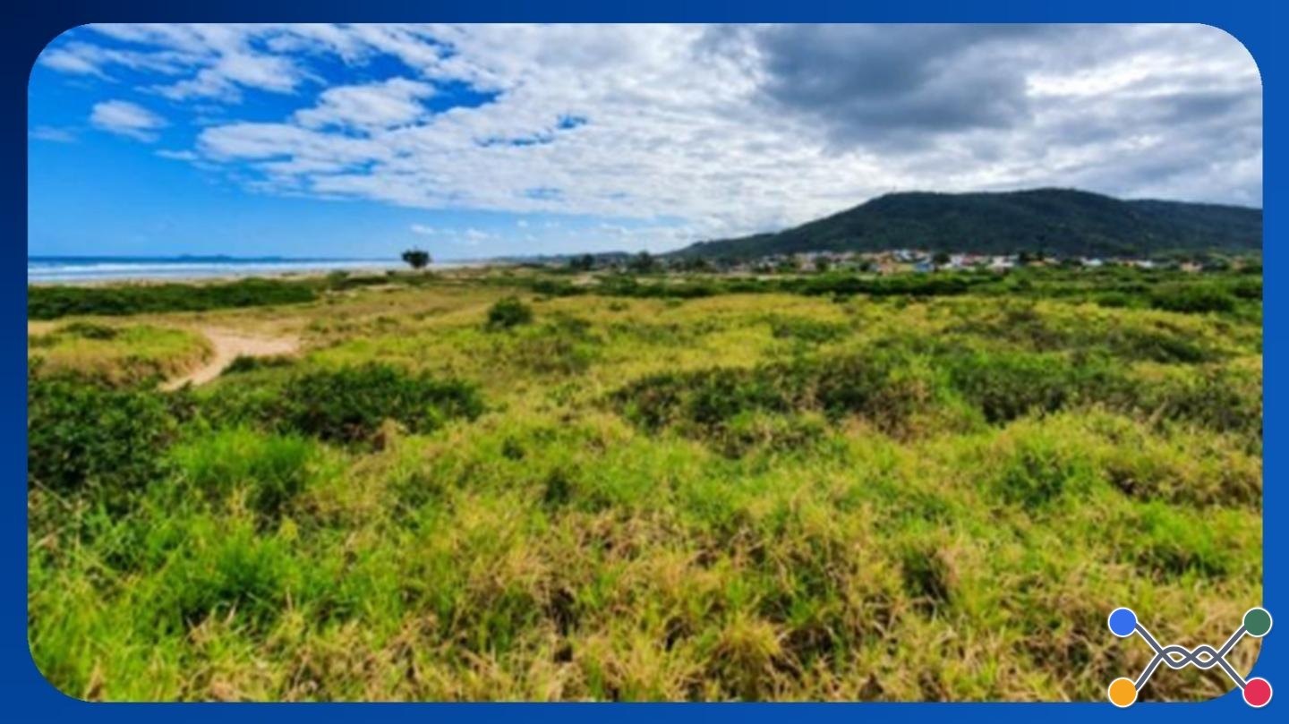 LOTE - Nº 04, QUADRA B-02, LOTEAMENTO SOLLAGE, IMBITUBA/SC, ÁREA DE 450,00M² - Luis Leiloeiro