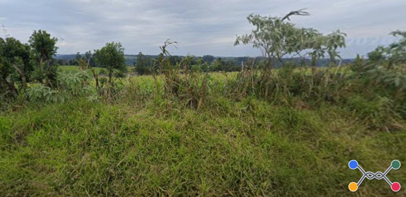 FAZENDAS EM LEILÃO - Lote 149 (ID 4301)