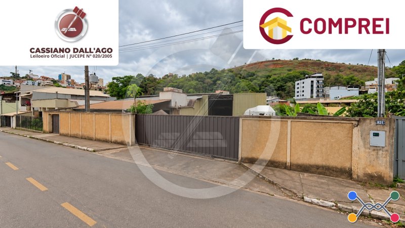 MINAS GERAIS - Lote 039 (ID 831)
