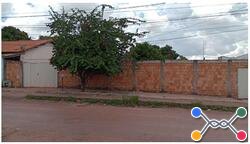 Lote 1