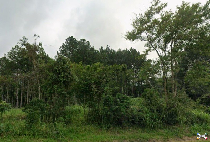 Lote 001