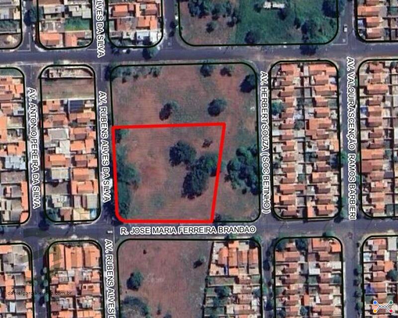 Lote 001