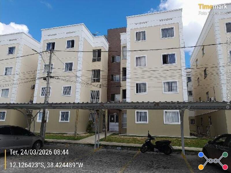 Lote 006