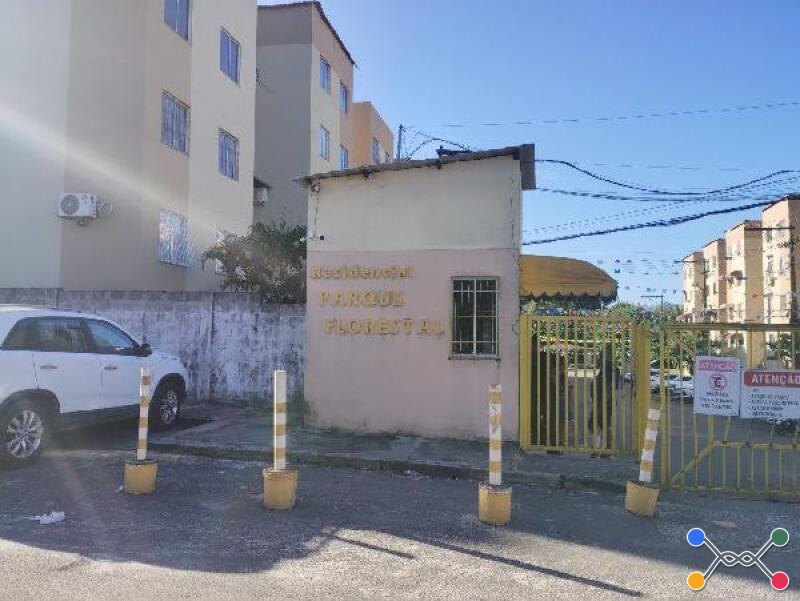Lote 010