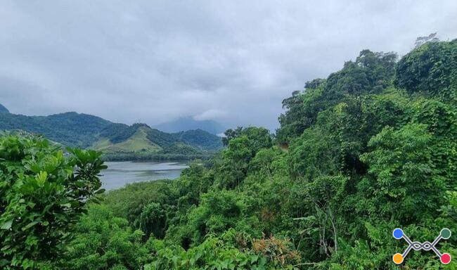 Terreno em condomínio de alto padrão em Angra dos Reis