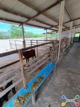 Imóvel rural em Sertânia/PE