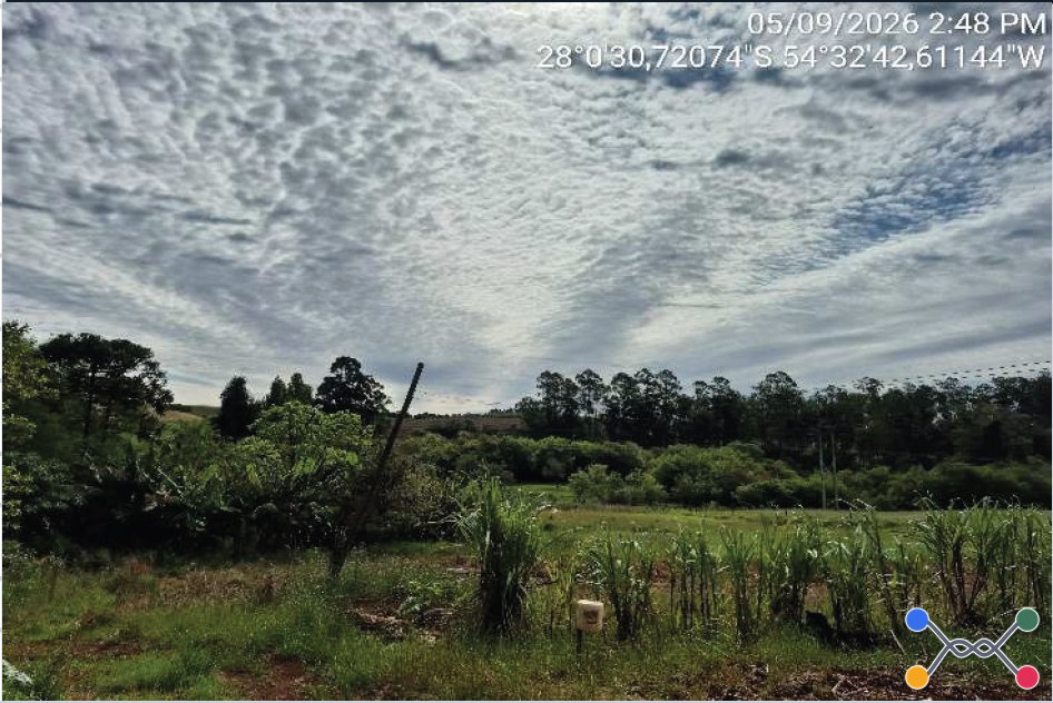 ÁREA RURAL C / 5 HA - SENADOR SALGADO FILHO / RS - Renovar Leilões - Corrêa e Alegranzzi LTDA