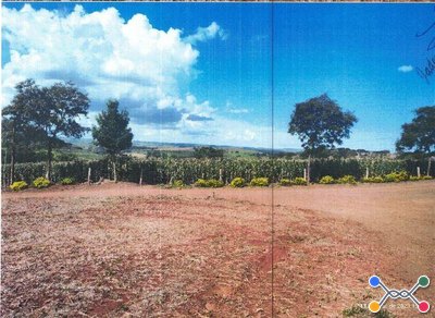 IMÓVEIS RURAL | GLEBA UBÁ, 1ª SECÇÃO | LUNARDELLI/PR