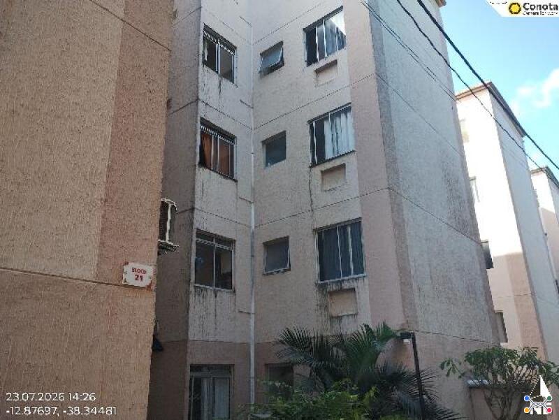 Lote 025