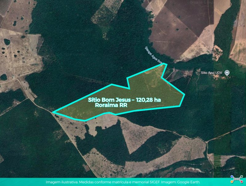 Lote 001