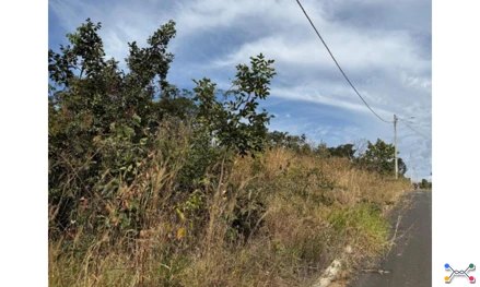 Lote em Leilão em Porto Nacional / TO - 3056175