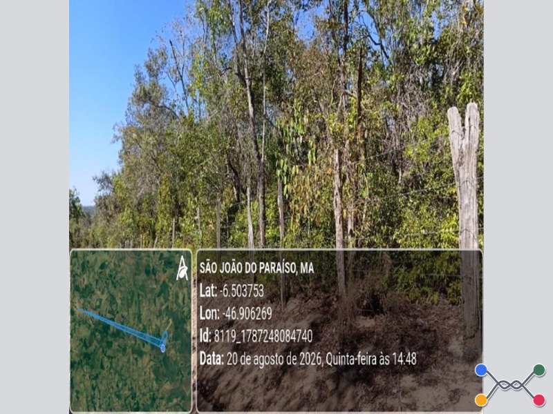 São joão do paraíso ma lugar denominado fazenda baunilia 741